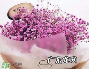 母亲节可以送满天星吗？母亲节能送满天星吗？