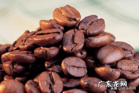 咖啡和可可饮品功能上有何区别 咖啡和可可的区别是什么？