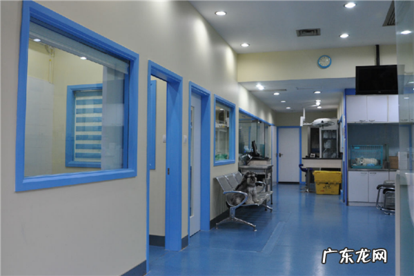 宠物医院加盟店排行榜 宠物医院加盟10大品牌排行榜