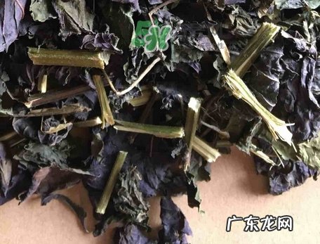 紫苏叶泡脚适合哪些人_紫苏叶泡脚不适合哪些人