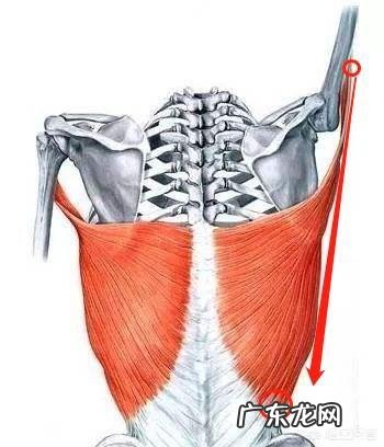高位下拉正确做法是怎样的,有哪些易错点?