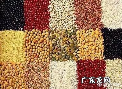 喝小米粥真能帮你养胃吗？