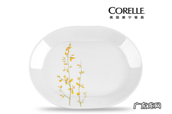 厨房电器加盟哪个品牌好 厨房用品加盟10大品牌排行榜