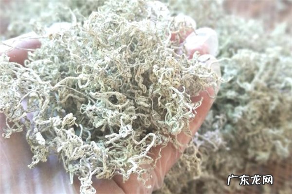 莓茶伤肾吗 莓茶胃寒的人能喝吗