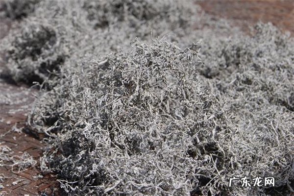 莓茶什么人不适合喝 莓茶适合什么人喝