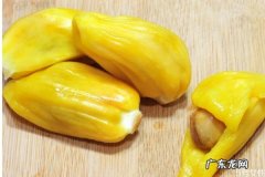 菠萝蜜果肉出水了还能吃吗 菠萝蜜果肉出水了是坏了吗