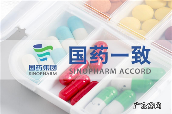 药店加盟十大连锁品牌 药店加盟10大品牌排行榜