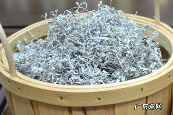 孕妇可以喝莓茶吗 经期可以喝莓茶吗