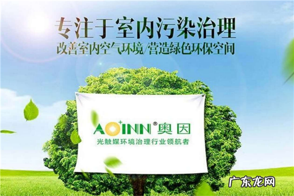 专业除甲醛公司十大排名有哪些 专业除甲醛公司十大排名