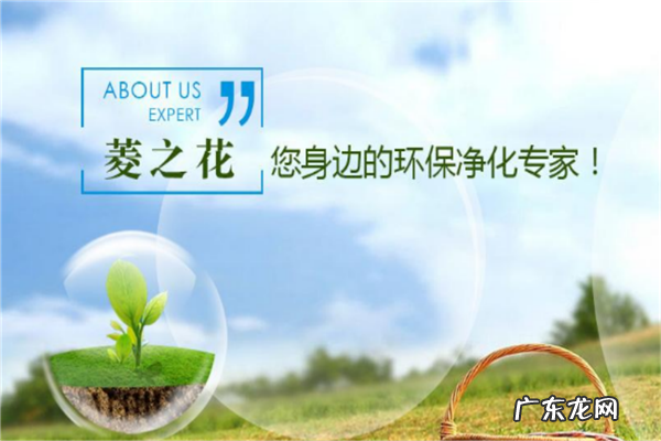 专业除甲醛公司十大排名有哪些 专业除甲醛公司十大排名