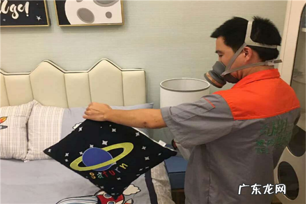 专业除甲醛公司十大排名有哪些 专业除甲醛公司十大排名