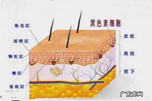 维生素e可以直接涂在脸上吗