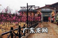 芜湖方特和合肥万达乐园哪个好?