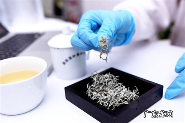 莓茶可以减肥吗 莓茶可以天天喝吗
