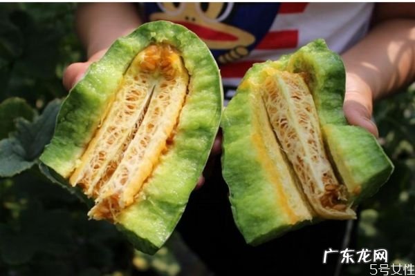 羊角蜜甜瓜怎么挑选 挑选羊角蜜甜瓜的方法