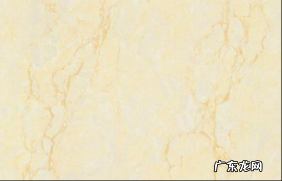 性价比较高的佛山地板砖品牌 佛山地板砖10大品牌价格