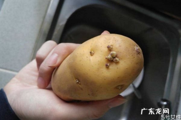 土豆长芽削掉能吃吗 土豆长芽还可以吃吗