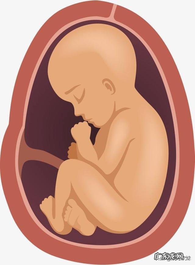 老婆怀孕了,早孕期间还可以上班,该注意哪些问题呢?