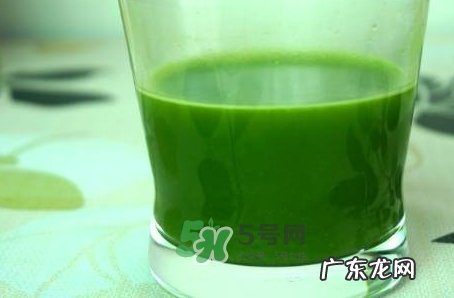 pola青汁怎么喝?pola青汁酵素使用方法说明书