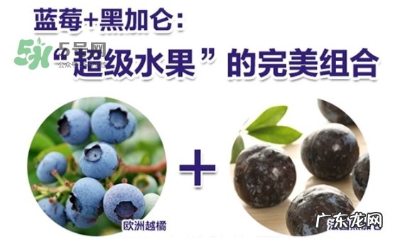 fancl蓝莓护眼怎么样?fancl蓝莓护眼和pola护眼哪个好