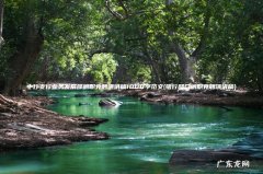 银行部门副职竞聘演讲稿 中行支行业务发展部副职竞聘演讲稿1000字范文