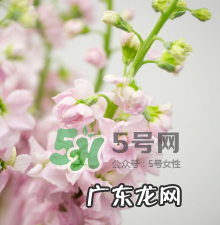鲜花怎么保存时间长 鲜花怎么保鲜