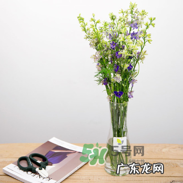 鲜花怎么保存时间长 鲜花怎么保鲜