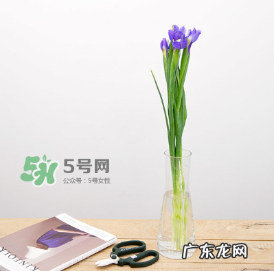 鲜花怎么保存时间长 鲜花怎么保鲜