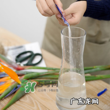 鲜花怎么保存时间长 鲜花怎么保鲜