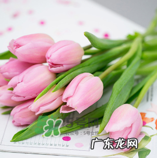 鲜花怎么保存时间长 鲜花怎么保鲜