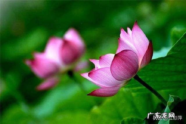 中国每分钟有7个人患癌,你觉得哪些生活习惯会导致癌症