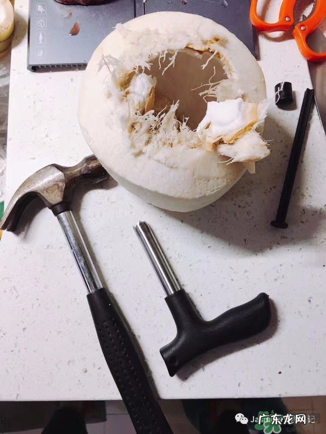 椰青怎么打开图解 椰青怎么打开吃椰肉
