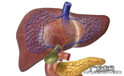 请问:多发性肝囊肿严重吗,需要注意什么