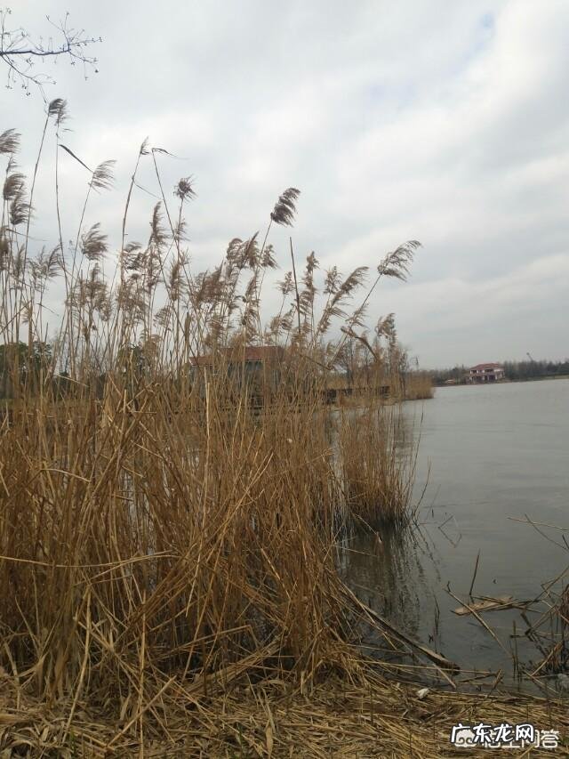 为什么时间具有方向性,是不可逆的