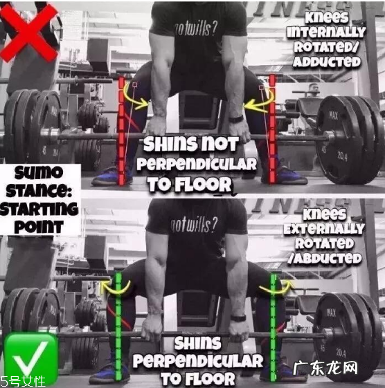 健身新手开始怎么练最好 健身新手常见错误动作