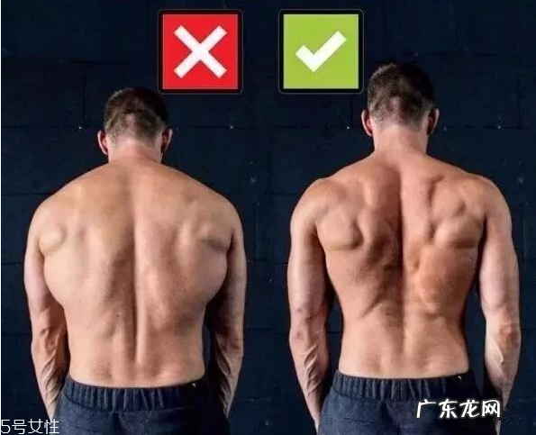 健身新手开始怎么练最好 健身新手常见错误动作