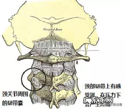 你见过哪些让人哭笑不得的歌词？