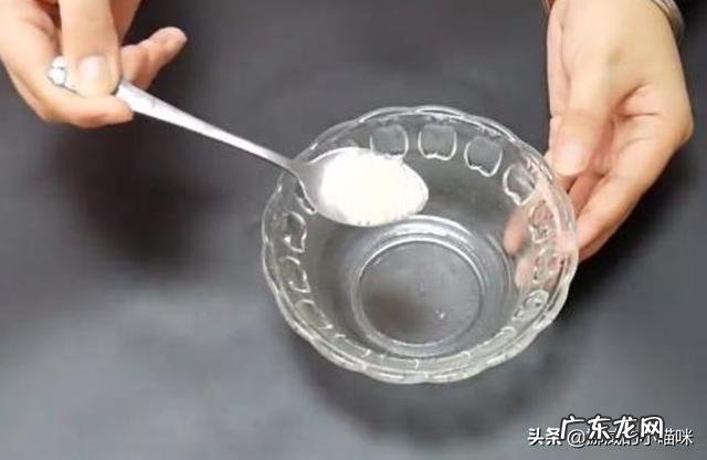 小型泰迪狗8个月零10天了,每天的大小便要好多次,这正常吗?