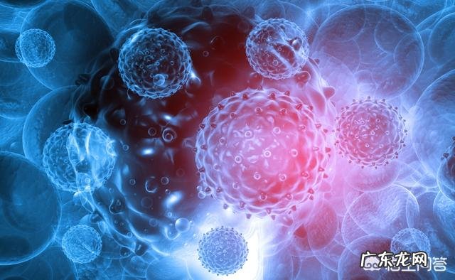 孩子有必要补DHA AD优尔，锌钙特吗？孩子男孩，五周岁？