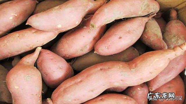 地瓜的吃法多吗?你最喜欢哪一种?