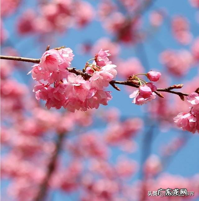 为什么在脸上砸了那么多钱护肤,身体任何一块皮肤却都比脸上好