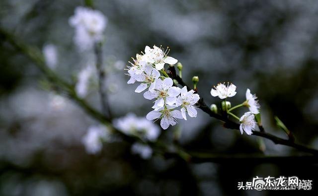 为什么在脸上砸了那么多钱护肤,身体任何一块皮肤却都比脸上好