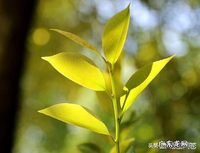 为什么在脸上砸了那么多钱护肤,身体任何一块皮肤却都比脸上好