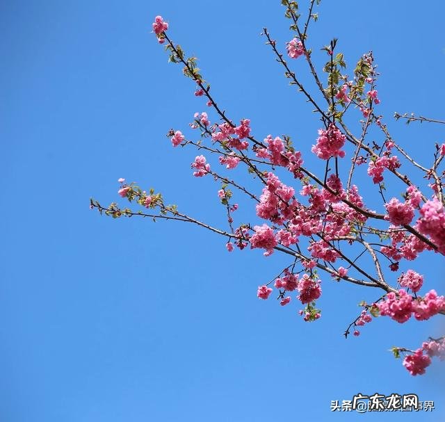 为什么在脸上砸了那么多钱护肤,身体任何一块皮肤却都比脸上好