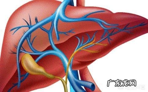颜值、能力、三观哪个更重要为什么