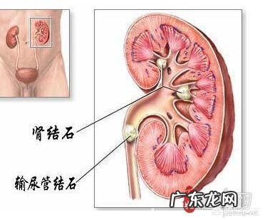颜值、能力、三观哪个更重要为什么