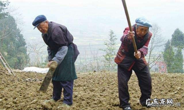为何农村八十岁的大爷老太喜欢种地城里的中年人却喜欢嗨广场舞?