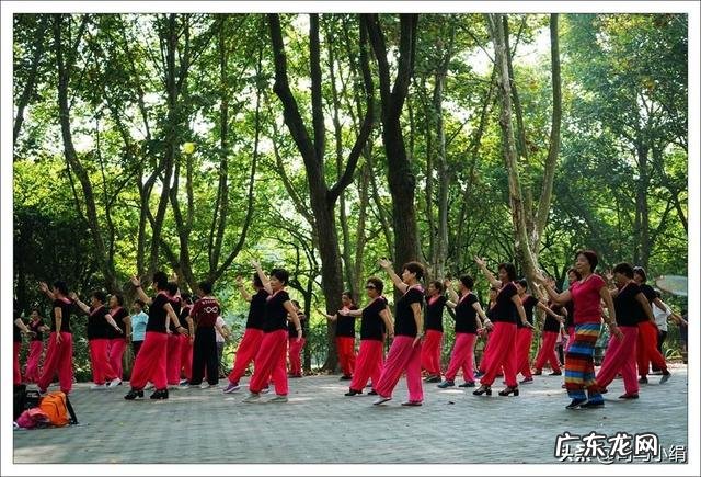 为何农村八十岁的大爷老太喜欢种地城里的中年人却喜欢嗨广场舞?