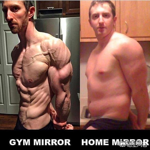 针灸减肥、吃减肥药、节食哪一个更靠谱?