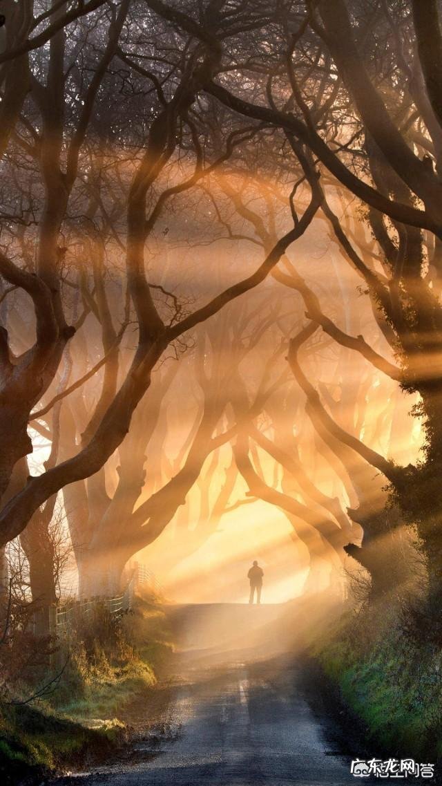 公务员,事业单位体检之前需要注意什么?